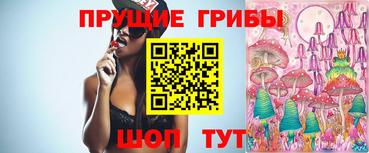 Химки  Галлюциногенные грибы MAGIC MUSHROOMS  Вход с VPN  Псилоцибиновые грибы Magic Shrooms 
